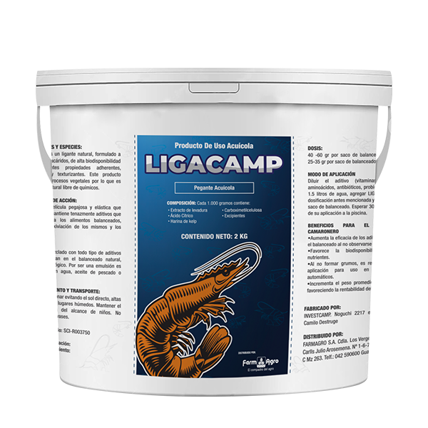LIGACAMP - 2 KGS