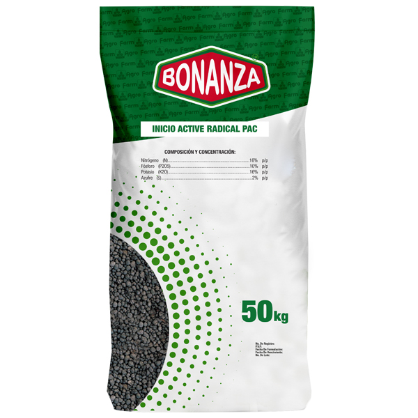 BONANZA INICIO ACTIVE RP