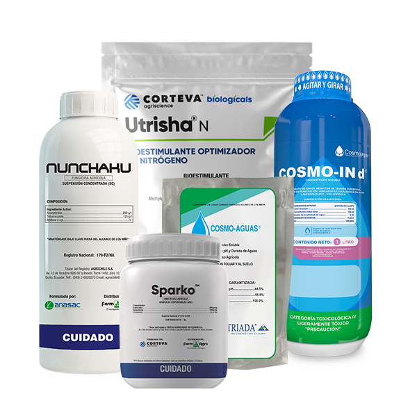 CONTROL DE HONGOS Y NUTRICIÓN